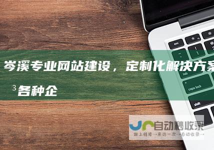 岑溪专业网站建设，定制化解决方案，满足各种企业需求