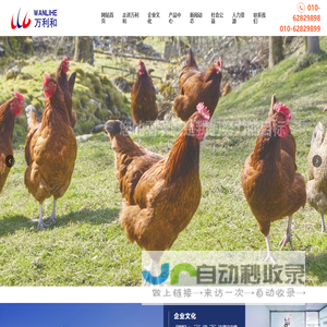 海螺翻译官