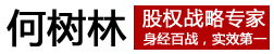 何树林组织激励系统,东莞股权激励设计咨询,企业股权架构设计,东莞股权设计,东莞股权顶层设计,东莞股权顶层设计咨询,东莞股权激励咨询公司,股权设计咨询,股权公司_股权专家何树林